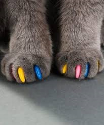 Plastic nail covers for cats best sale